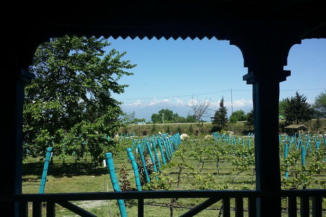 Private Wine Tour to Kakheti from Tbilisi - Practical Tips for Your Trip