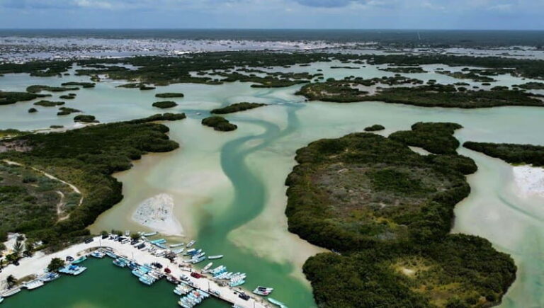 Progreso: Isla Columpios and Pig Beach Club Day Pass - The Practicalities