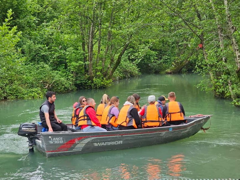 Prometheus Forrest Boat Tour - What Is the Prometheus Forest Boat Tour?