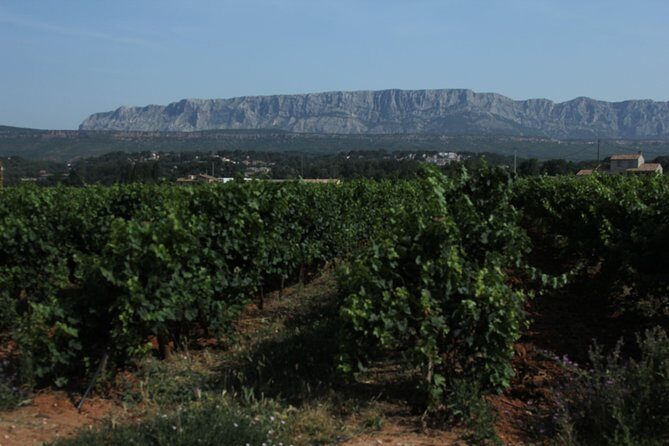 Provence Wineries and Luberon Villages Day Trip from Aix-en-Provence - Final Thoughts