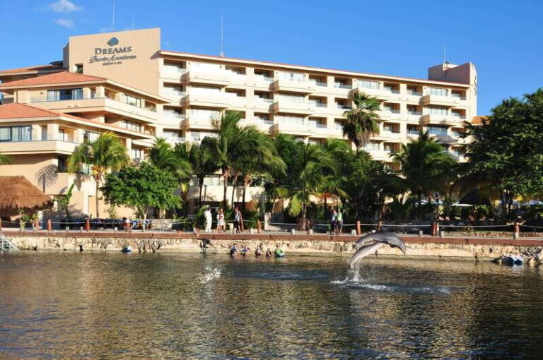 Puerto Aventuras: Amazing Dolphin Encounter with Lunch - Who Will Love This Tour?