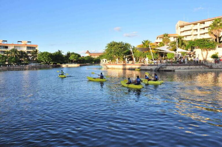 Puerto Aventuras: Dolphin Royal Swim & Kayaking with Buffet - Who Is This Tour Best For?