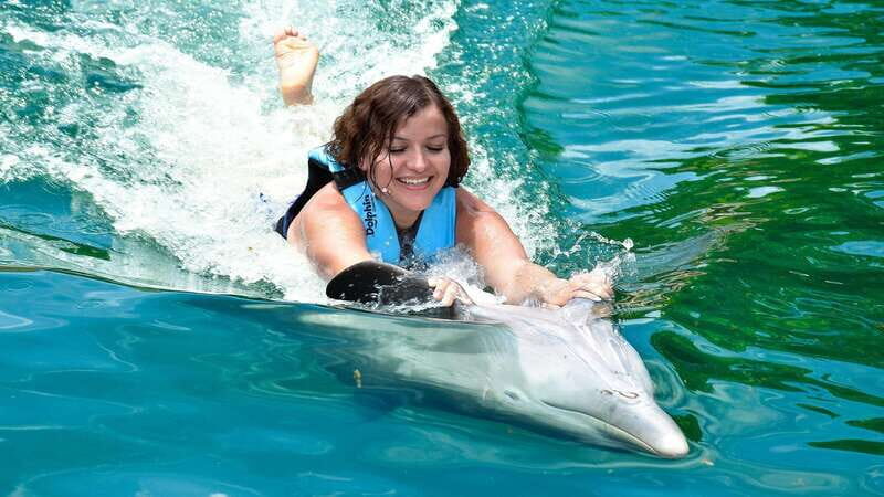 Puerto Aventuras: Dolphin Swim Adventure - Detailed Breakdown of the Experience