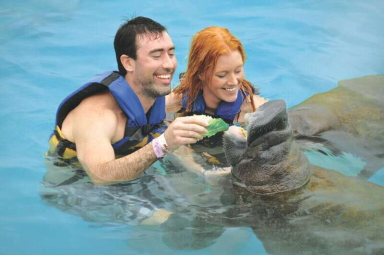 Puerto Aventuras: Dolphin Swim, Manatee Meet, and Lunch - The Experience in Detail