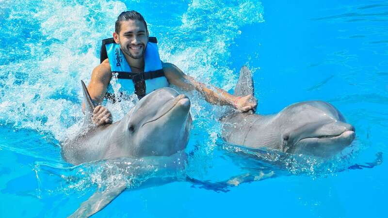Puerto Aventuras: Dolphin Swim, Sea Lions, Manatees, & Lunch - How This Tour Balances Value and Experience