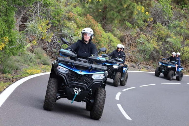 Puerto de la Cruz: Quad Trip Teide National Park - Why It’s Great Value