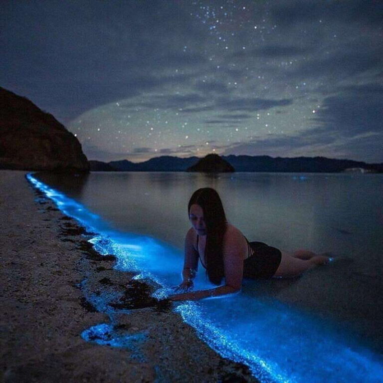 Puerto Escondido: Chacahua Lagoon Bioluminescence Tour - The Journey Through Chacahua Lagoon: What to Expect