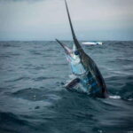 Puerto Escondido: Fishing Charter - Who This Tour Is Perfect For