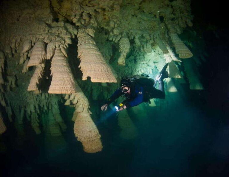 Puerto Morelo: Cenote Diving - Transportation, Guides, and Group Size