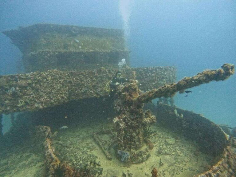 Puerto Morelos: C-56 Shipwreck & Reef for Certified Divers - Why This Tour Is Worth Considering