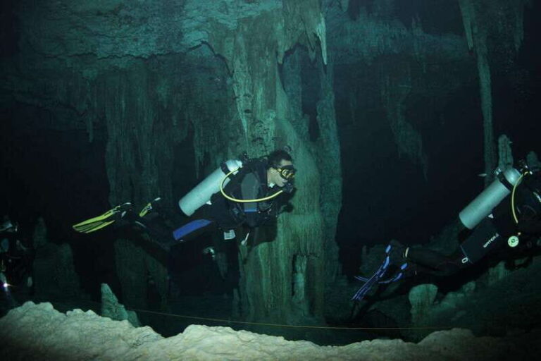 Puerto Morelos: Reef Diving - What the Experience Looks Like