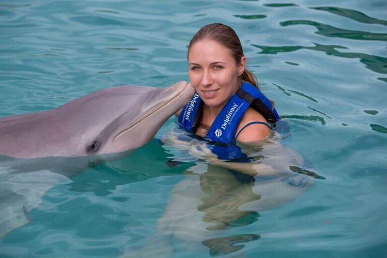 Puerto Morelos: Swim with Dolphins - The Value of the Experience