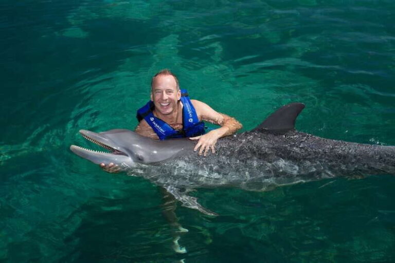 Puerto Morelos: Swim with dolphins Supreme - What the Tour Includes and Excludes