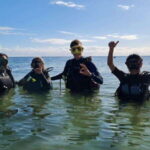Puerto Morelos: Zapote Cenote Diving - Why This Tour Offers Real Value