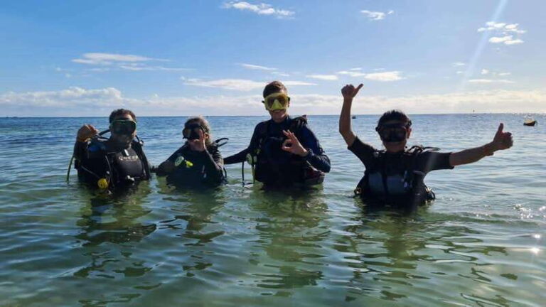 Puerto Morelos: Zapote Cenote Diving - Why This Tour Offers Real Value