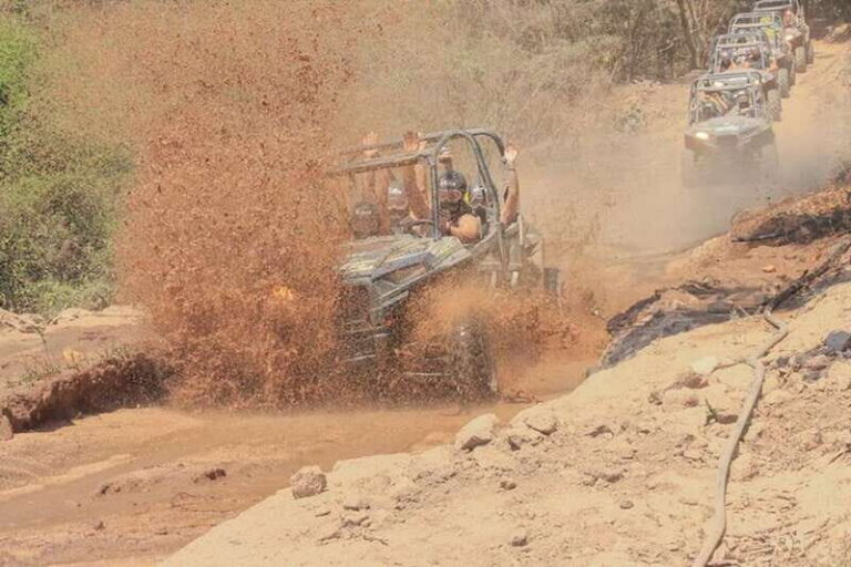 Puerto Vallarta: All-Terrain UTV Tour - The Vehicles and Off-Roading Experience