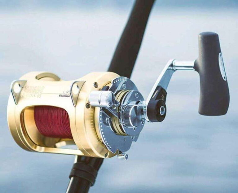 Puerto Vallarta: Fishing Cachi I 28 - The Experience in Action: What Reviewers Say