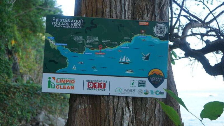Puerto Vallarta: Hidden Beaches and Sea Adventures - Final Thoughts