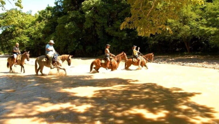Puerto Vallarta: Horseback Riding at Hacienda Doña Engracia - Who Will Love This Tour?