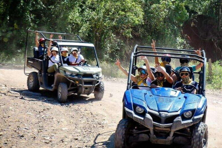 Puerto Vallarta: Jungle ATV or Razer Adventure - Discovering the Landscape: The Experience Itself