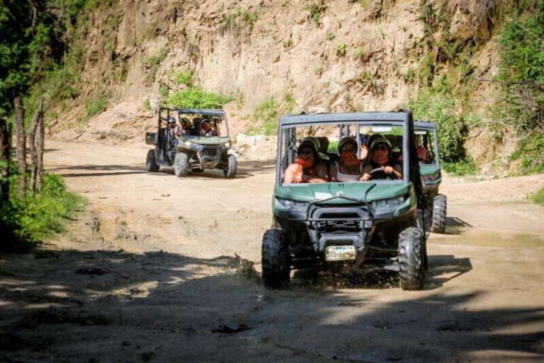 Puerto Vallarta: Jungle Buggy Adventure - What the Reviews Say