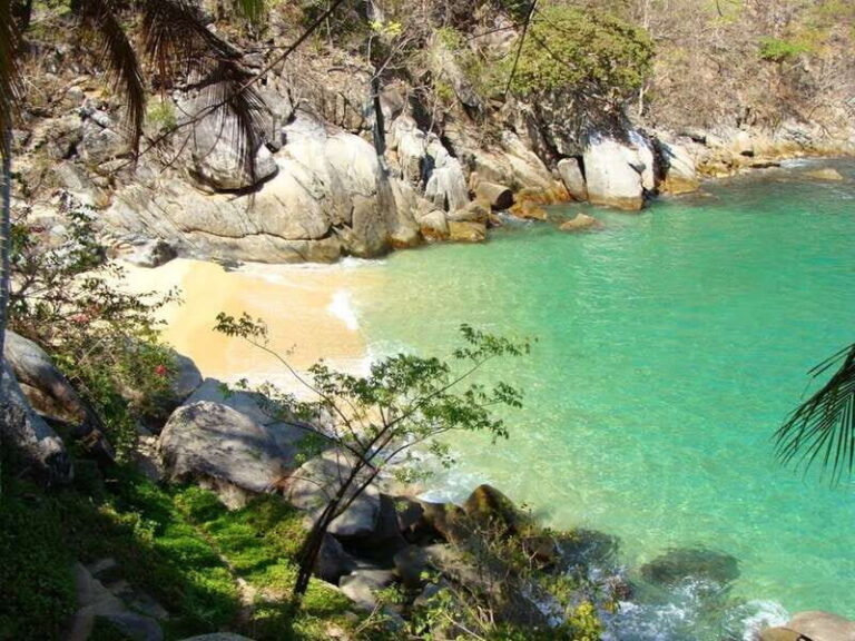 Puerto Vallarta: Los Arcos Snorkel & Beach Private Boat Tour - Details That Matter
