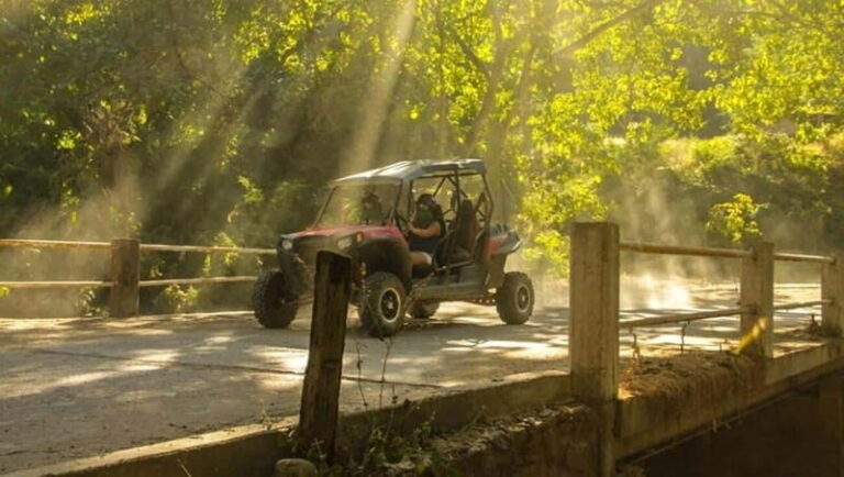 Puerto Vallarta: RZR Rio Cuale - Introduction: What This Tour Offers