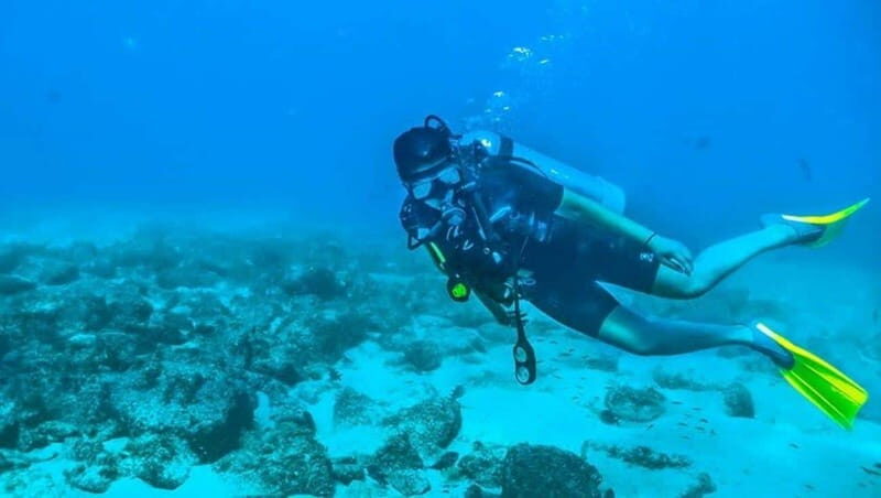Puerto Vallarta: Scuba Dive at Los Arcos - What to Expect from the Tour