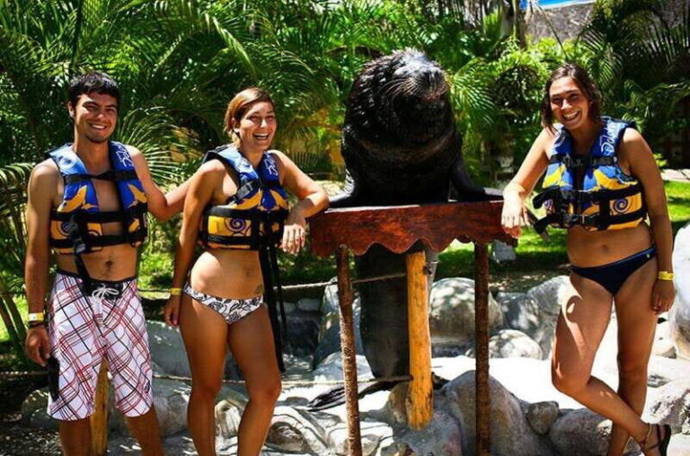 Puerto Vallarta: Sea Lion Discovery at Aquaventuras Park - The Experience Breakdown