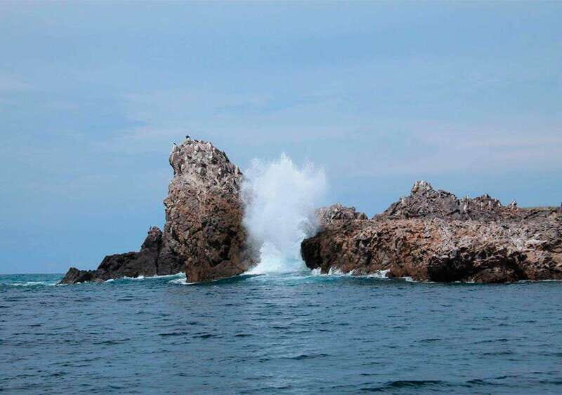 Puerto Vallarta: Snorkeling, Beach, Sailing to Marietas Park - Practical Info and Tips for the Tour