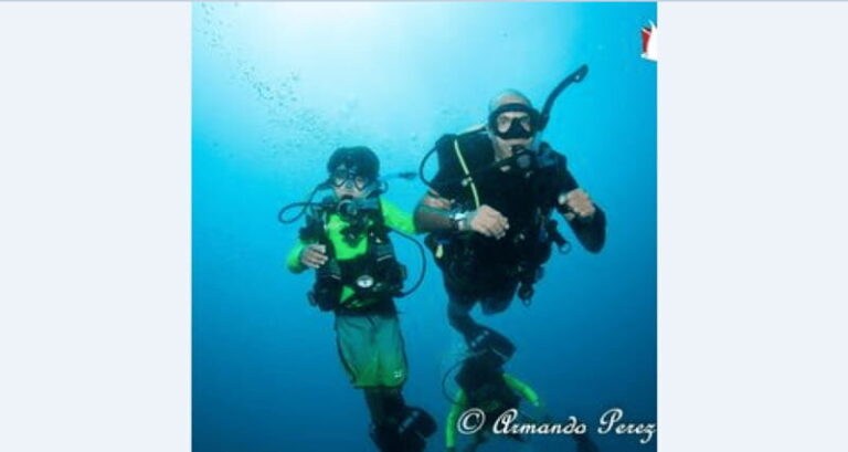 Puerto Vallarta: Underwater Wonderland at Los Arcos - The Itinerary Breakdown