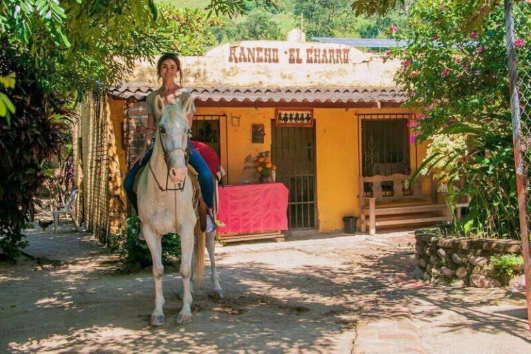 Puerto Vallarta: Wild Tour Horseback Riding Experience - Assessing the Value