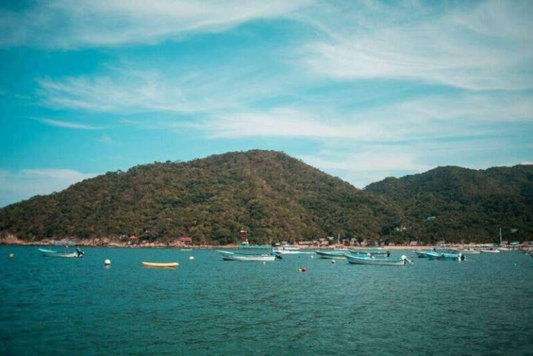 Puerto Vallarta: Yelapa, Colimilla, Waterfall, Private Tour - An In-Depth Look at the Tour Experience