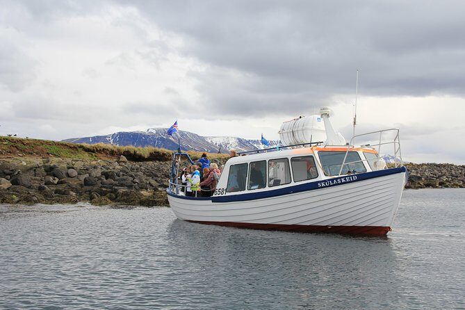 Puffin Cruise with Expert Tour Guide from Reykjavik - Who Will Love This Tour?