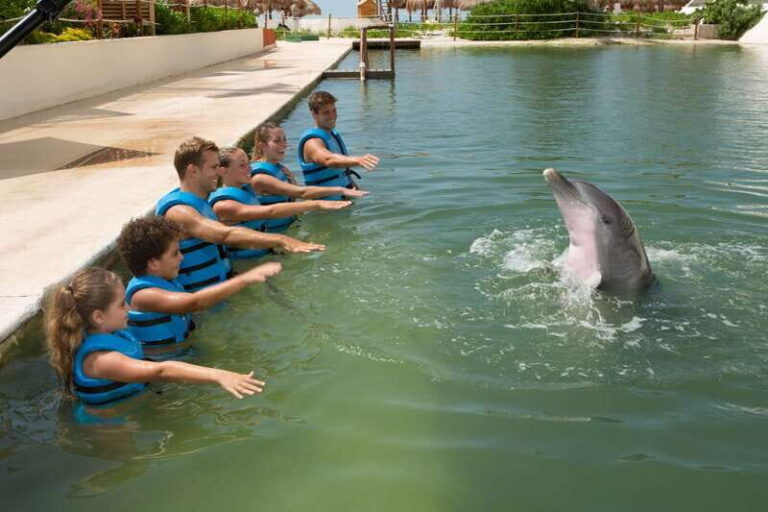 Punta Cancun: Swim with dolphins Ride - What We Think About the Price and Value