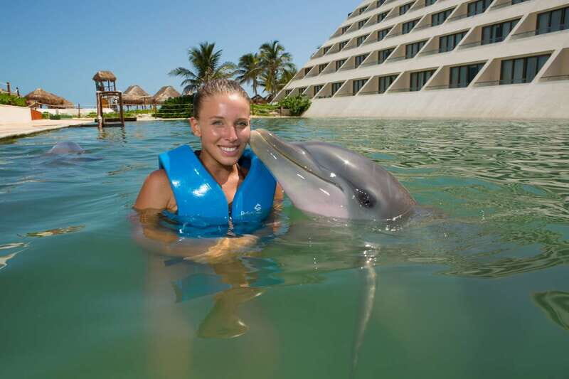 Punta Cancun: Swim with dolphins Splash - In-Depth Breakdown of the Experience