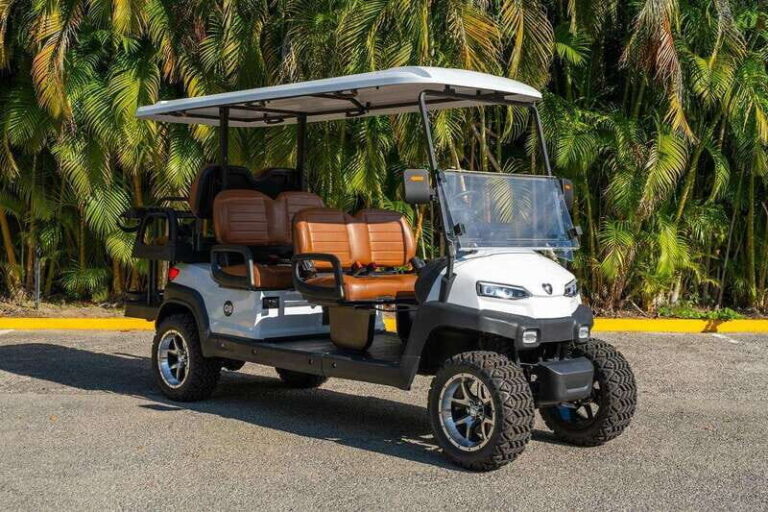 Punta de Mita Golf Cart Rentals - What to Expect from Your Rental