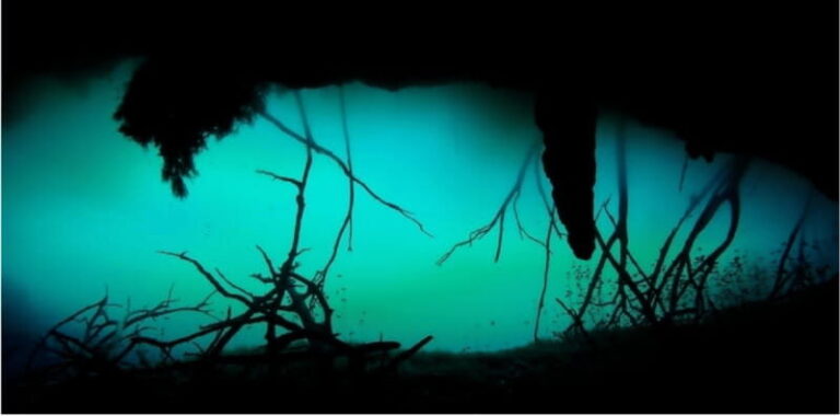 Quintana Roo: Cenote Dive - What You Can Expect from the Tour