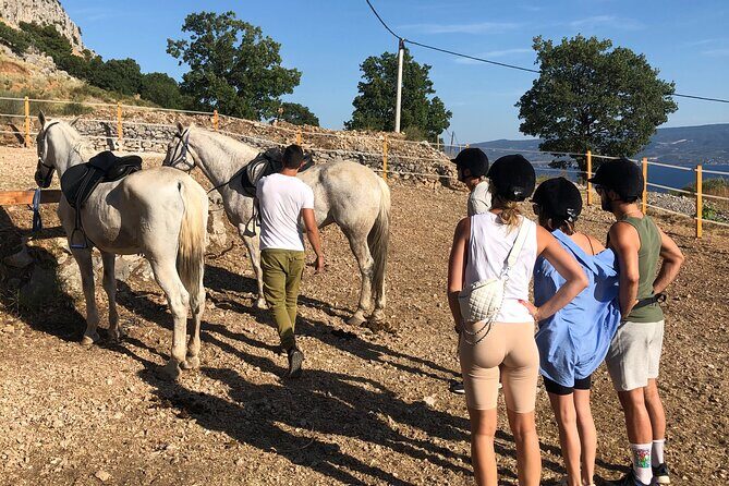 Ranch 22 Podstrana, " Horse riding 12 km from SPLIT " - The Reviews Tell the Full Story