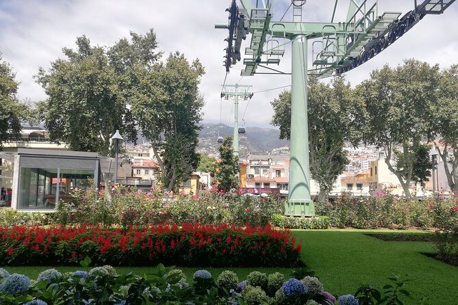 Real Life, Mountains & Sea Cliffs + Lunch + Levada walk - 6 hours - Authentic Experiences & Unique Insights
