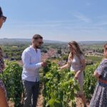 Reims or Epernay: Full day Champagne Mumm, family grower & lunch - Why This Tour Stands Out