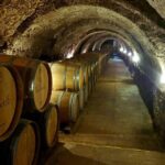 Ribera del Duero Tour: 4 Wineries Visit, Wine Tasting & Lunch - The Experience in Practice: What You Can Expect