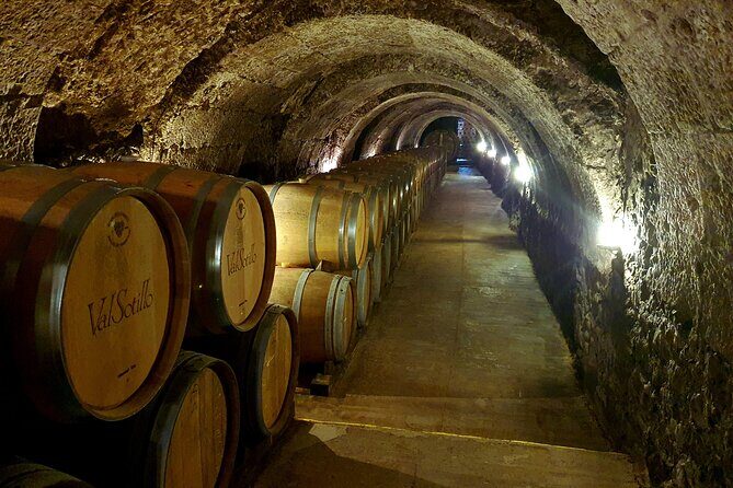 Ribera del Duero Tour: 4 Wineries Visit, Wine Tasting & Lunch - The Experience in Practice: What You Can Expect