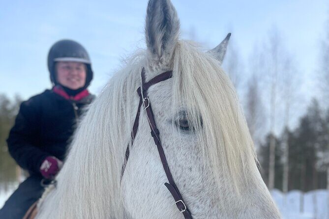Riding Tour with Finnhorses at Santa Claus Village - Final Thoughts