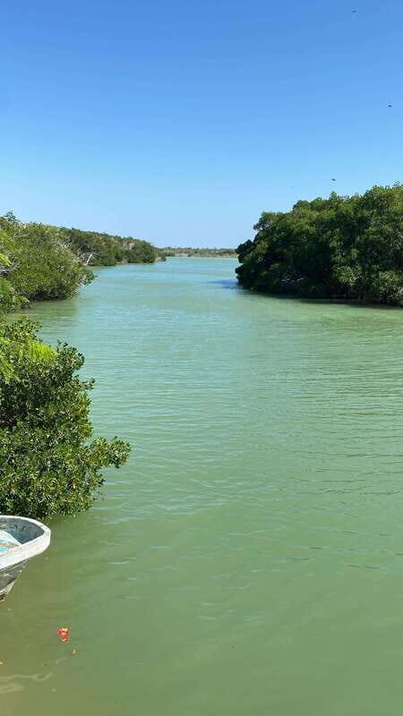 Rio Lagartos and Las Coloradas: EcoSafari Flamingo Delux - Why Choose This Tour?