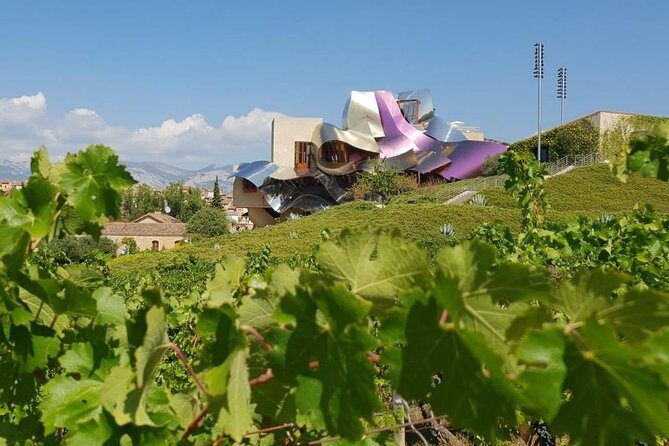 Rioja Wine Tour: Winery & Traditional Lunch From Bilbao - Is This Tour Worth the Price?