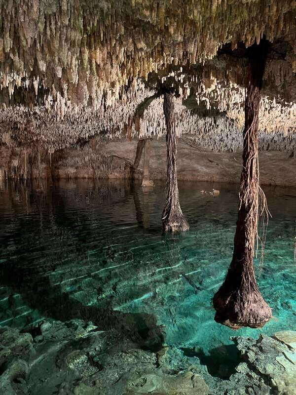 Riviera Maya: Cenotes & Jungle Gay Adventure - What Makes This Tour Stand Out