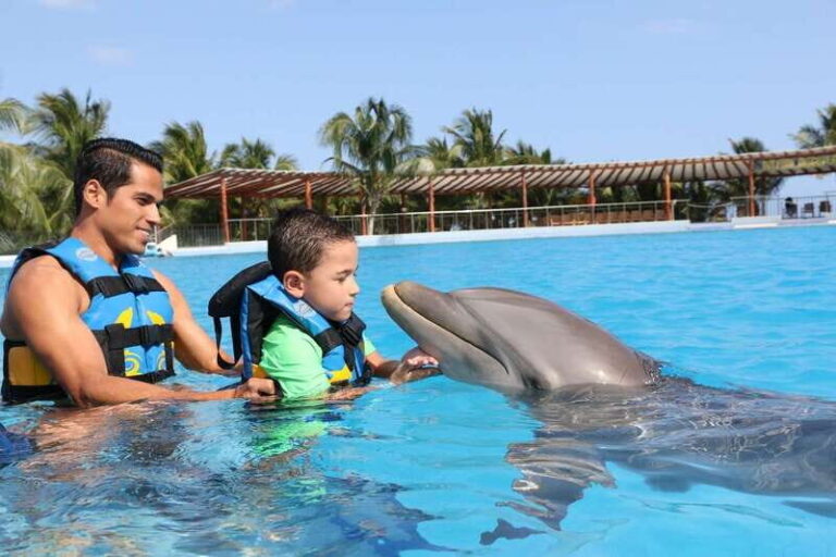 Riviera Maya: Dolphin Encounter with Beach Club Access - The Beach Club Experience