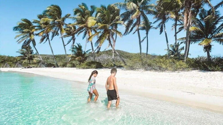 Riviera Maya: Isla Contoy and Isla Mujeres Full-Day Tour - Insights from Real Reviews
