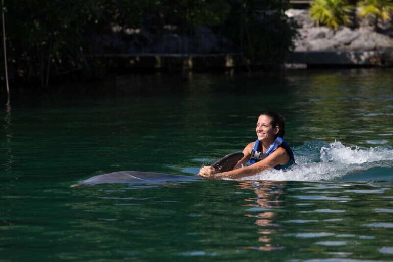 Riviera Maya: Swim with dolphins Ride - What to Expect Before You Go